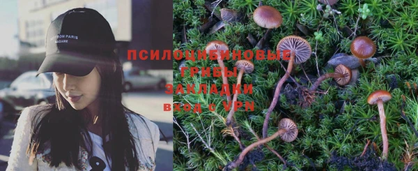 а пвп мука Новозыбков