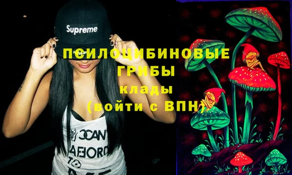 гашиш Новодвинск