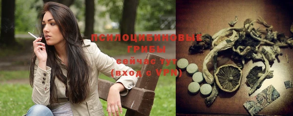 а пвп мука Новозыбков