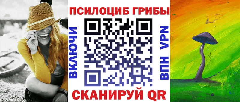цена   маркетплейс официальный сайт  Псилоцибиновые грибы Psilocybine cubensis  Касли 